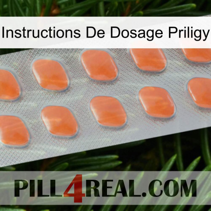 Priligy Dosage Instructions 26